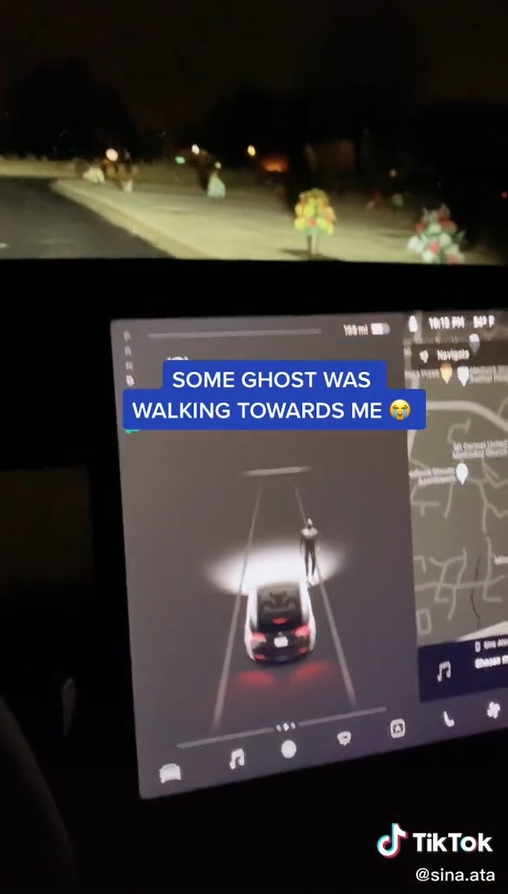 Tesla vio un fantasma